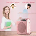 Speaker for teachers to use in class wireless Bluetooth microphone amplifier, small portable tour guide microphone. 
