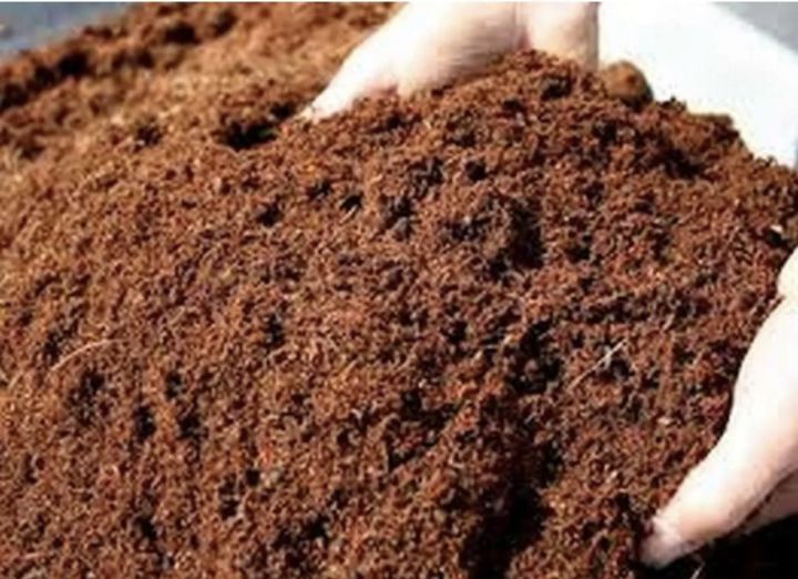 Coco Peat 10 kg Packet Ready For Use Brown Color by More Green