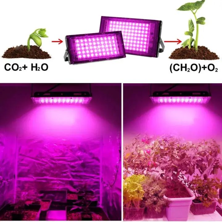 Full%20Spectrum%20Plant%20Lamp%20Led%20Light%20Indoor%20Cultivation%2050W%20100W%20200W%20300W%20Led%20Grow%20Hydroponic%20Light%20Phyto%20Veg%20Flower%20Phytolamp%20-%20Image%203