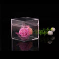 36PCS Food Grade Transparent PS Plastic Square Packaging Boxes with Open Top And Bottom Covers Candy Storage Accessory Nail Slic. 