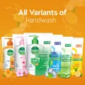 Dettol Handwash Reenergize Refill Combo with Free Tiffin Box.