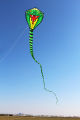 Strong Snake With Long Colorful Tail!Huge Beginner Snake Kites for Kids And Adults  Come With String And Handle. 
