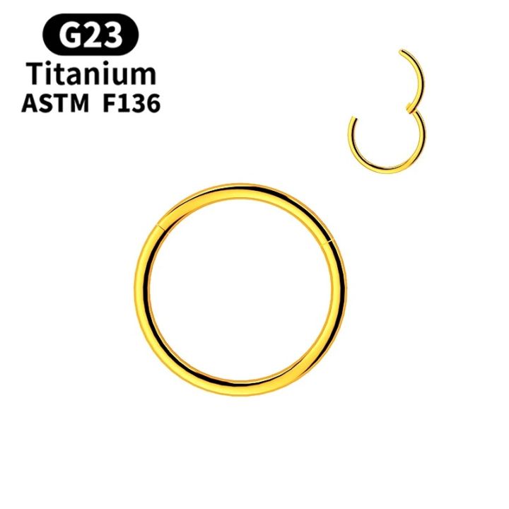 1Pc%20G23%20Titanium%20Hinged%20Nose%20Rings,%20Body%20Clips%20Hoop%20Rings%20For%20Women%20Men%20Cartilage%20Piercing%20Jewelry%20Segment%20Lip%20Ear%20Ring%20Jewelry%20-%20Image%206