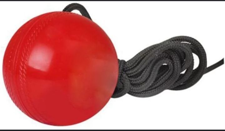 Hanging%20Ball%20Cricket%20Practice%20Ball%20-%20Image%202