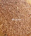 NPK Fertilizer 10:26:26 Plant Food for all purposes REPACK 50 gm Water Soluble Fertilizer For Plant Indian.