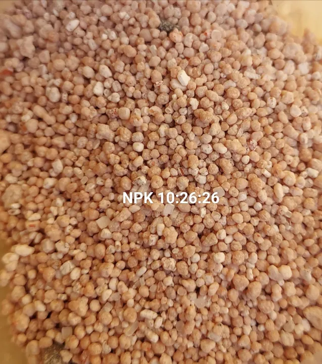 NPK%20%20Fertilizer%2010:26:26%20Plant%20Food%20for%20all%20purposes%20%20REPACK%2050%20gm%20Water%20Soluble%20Fertilizer%20For%20Plant%20Indian%20-%20Image%202