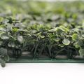 Artificial Grass Wall Decor Mat - 24 Inches Height - 16 Inches Width. 