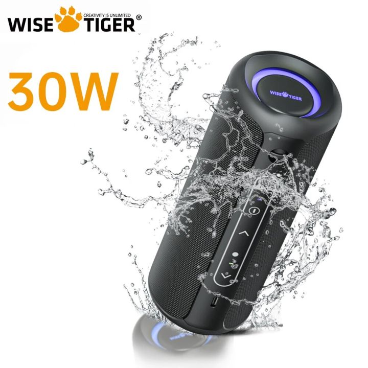 WISETIGER P3 Portable Bluetooth Speaker 30W Outdoor IPX7 Waterproof ...