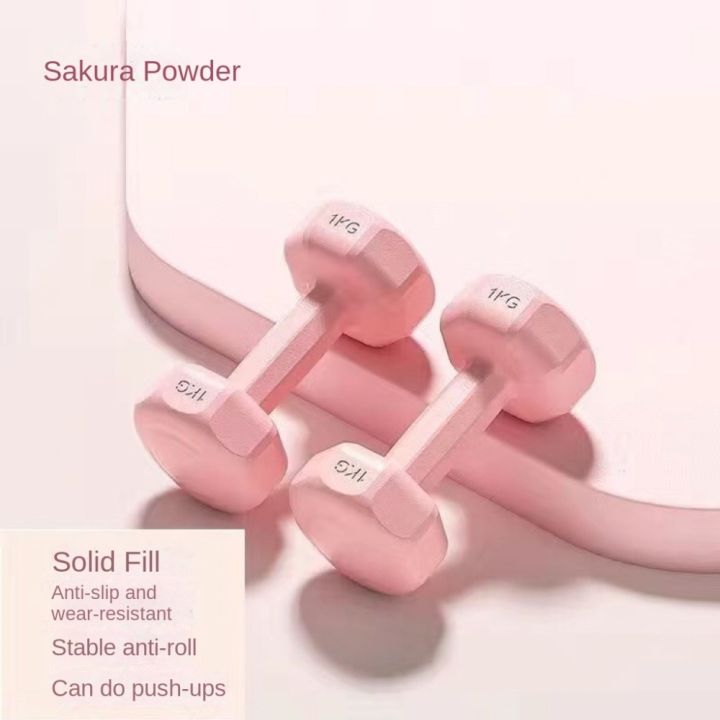 New%201kg%20Dumbbell%20Women's%20Fitness%20Home%20Equipment%20Kettlebell%20Children%20Primary%20School%20Men's%20Arm%20Muscle%20Yoga%20Small%20Dumbbell%20Set%20-%20Image%202