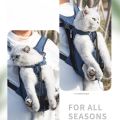 Double Shoulder Breathable Portable Travel Pet Dog Carrier Backpack Mesh Carrier Front Bag for Small Dog Cats Outdoor. 