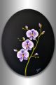 Hp Round black canvas 12x12 -- 1pcs.