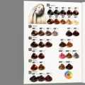 Bremod Original Hair Color Chart – Full Shade Guide | Professional Salon Hair Dye Color Swatches All Colors And Developers Available. 