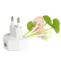 European Plug Sensor LED Beautiful Light Sensor Romantic abajur infantil Mushroom Night Light Dreambed Illumination. 