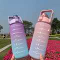 1pc Gradient Frosted Water Bottle With Handle Outdoor Portable Straw Cup. 