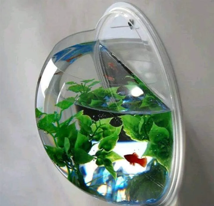 Wall%20Mounted%20Fish%20Aquarium%20%7C%20Wall%20Hanging%20Fish%20Aquarium%20%7C%20Mini%20Aquarium%20-%20Image%204