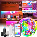 TUYA LED Strip Light Smart Wifi RGBIC Dreamcolor Ribbon Lighting USB 5V WS2812B Addressable Light Lamp Support Alexa  lightify. 