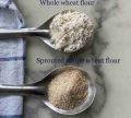 Pure and Fresh 500g Sprouted Wheat Flour / Samnak / Angoori Atta  - for Sohan Halwa and many other things. 