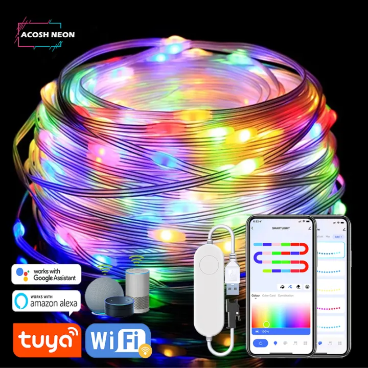 TUYA LED String Lights work with Alexa Google Assistant Music Sync WS2812B RGBIC Lighting Addressable Fairy String Lights