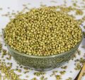 DANIA SABAT / CORIANDER WHOLE  100g. 