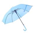 Transparent Fashion Umbrella. 