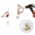 Hanging Glass Terrarium - Semi-Circular Hydro Planter for Wall Decor, Fish Tank & Plant Display home decoration item.