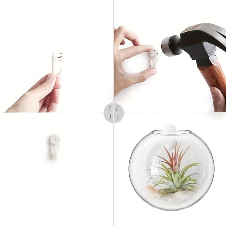 Hanging%20Glass%20Terrarium%20-%20Semi-Circular%20Hydro%20Planter%20for%20Wall%20Decor,%20Fish%20Tank%20&%20Plant%20Display%20home%20decoration%20item%20-%20Image%203