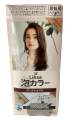 Premium Kao Liese Foam Hair Color 7 Color Shade To Choose From Salon Finish Made In Japan. 