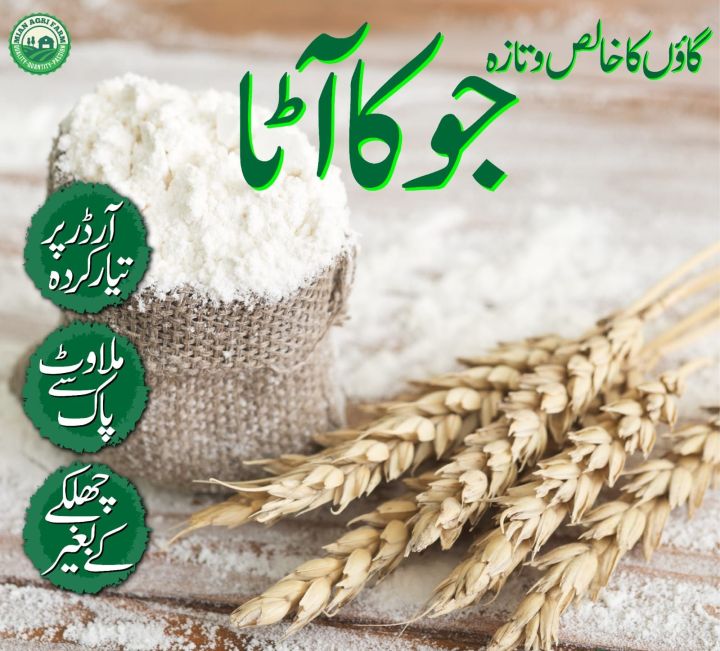 Barley%20Flour%20Jau%20Ka%20Atta%20100%25%20Pure%20Quality%201Kg%20Made%20From%20Stone%20Mill%20-%20Image%202
