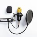 Professional Recording Microphone. 