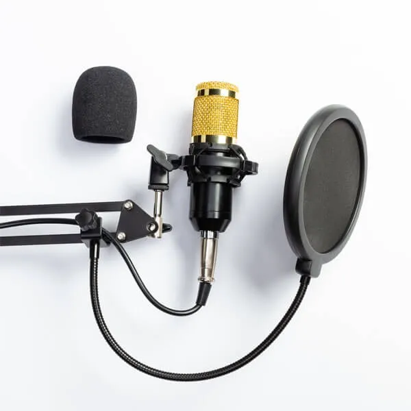 Professional%20Recording%20Microphone%20-%20Image%203