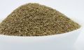 Ajwain Karfas 250gm •  Tukhm e Karfas | Celery Seeds تخم کرفس‎. 