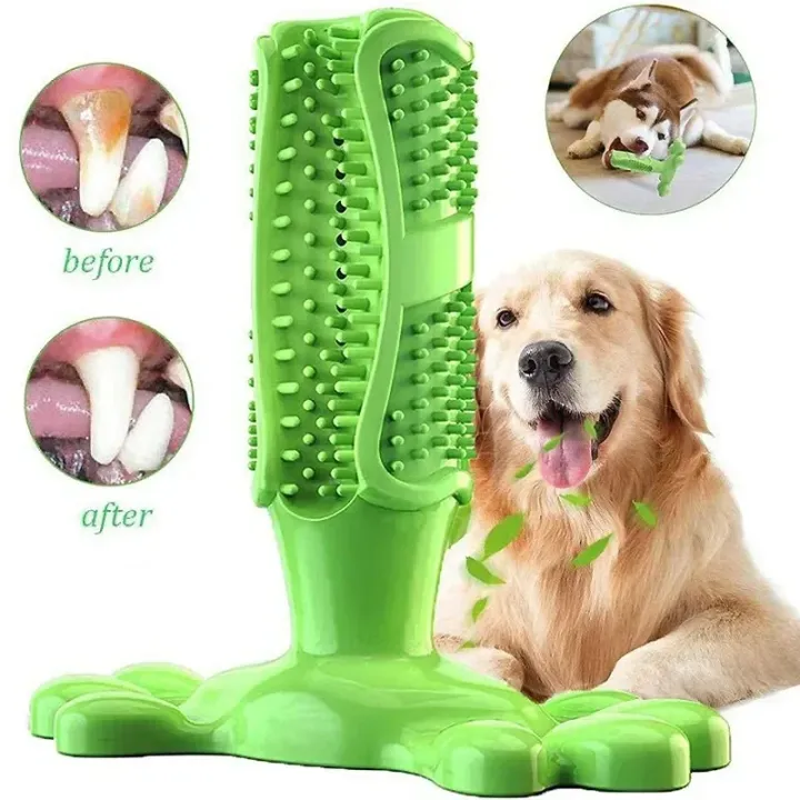 Pet%20Dog%20Cactus%20Interactive%20%20Chew%20Toys%20For%20Small%20Large%20Dogs%20Tooth%20Cleaning%20Toothbrush%20For%20Medium%20Large%20Dogs%20Treat%20Dispenser%20-%20Image%204