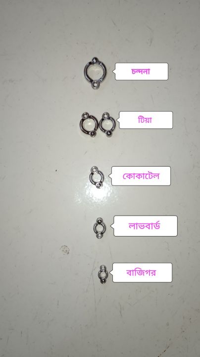 Only%20Leg%20Ring%20For%20Harness%20of%20Birds%20silver%20color-01%20pc%20-%20Image%204