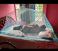 Single Bed Mosquito Net Foldable Metal Stand /Lazy adult mosquito net 3.5/6.5 fit.