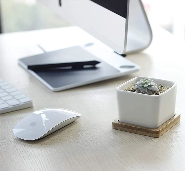Mini%20Succulent%20Pot,%20White%20Ceramic%20Small%20Square%20Plant%20Pot,%20Cactus%20Planter%20Pot%C2%A0%20-%20Image%205