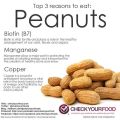 Sugar Free Peanut Butter (Pure & Crunchy/ Chunky) (Homemade). 