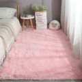 Carpet Bedroom Bedside Blanket Living Room Full Large Area Blanket Floor Mat Home Girl Room Dormitory Homestay Mat.