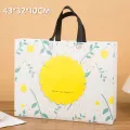 Waterproof spunbond fabric bag giveaway giveaway customer handbag size 32*27*10 cm/ 43*32*10 cm. 