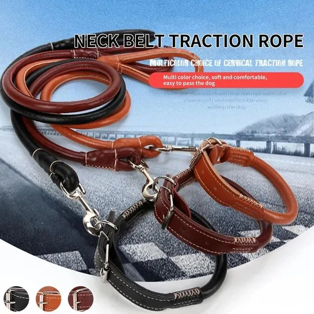 Dog Collar and Leash Set Round Strong Pet Walking Training Leash for Small Medium Big Dog