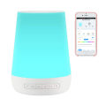 Smart White Noise Machine Baby Sleep Sound Machine Colorful Night Lights 34 Soothing Sounds Supports APP Remote Control. 