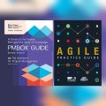 Set of 2 books: PMBOK 7th Edition - AGILE Practice Guide. 