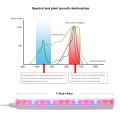 29cm 110V 220V Full Spectrum Led Grow Light T5 Tube LED Phyto Lamps Grow LED Lamp Bar Light Hydroponic Plant Growth Light. 