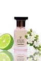 Kiss My Flower | Our Best Seller Warm Floral Fragrance | Best For Womens | 50ml. 