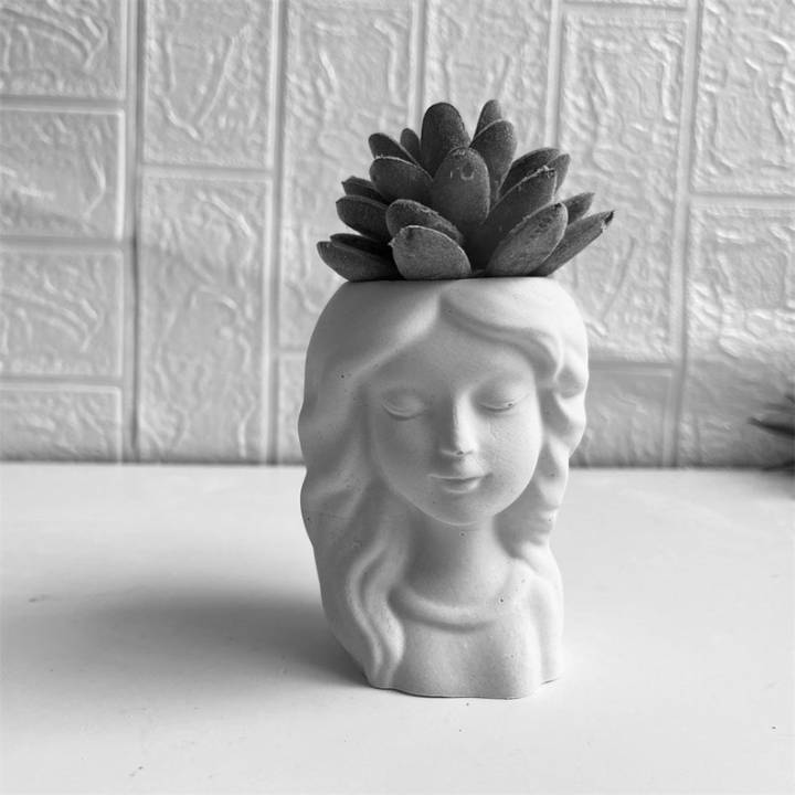 Pot for succulent Face Flower Pot Head Planter Pot Succulent Planter Cute Cactus Planter Closed Eyes Decor Mother's Day Gift