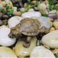 Charming Sea Turtle Resin Statue Mini Turtle Figurine Micro Landscape Ornaments Perfect For Aquariums Fairy Gardens Home Decor.