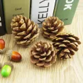 Christmas decoration pine cones dry pine cones. 