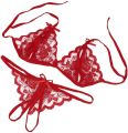 Exotic Red Transparent Bra and Panty Set for Honeymoon - Premium Lingerie. 