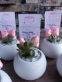 Round vase for home and living room decorative plantable.