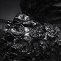 Titanium 3 Pairs Double Hoop Nose Rings 6/8/10mm Hypoallergenic Small Spiral Piercing Jewelry for Men Women 20G. 