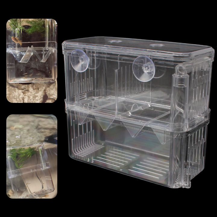 Isolation Box Aquarium Hatching Acrylic Aquarium Hatchery Fish Tank ...